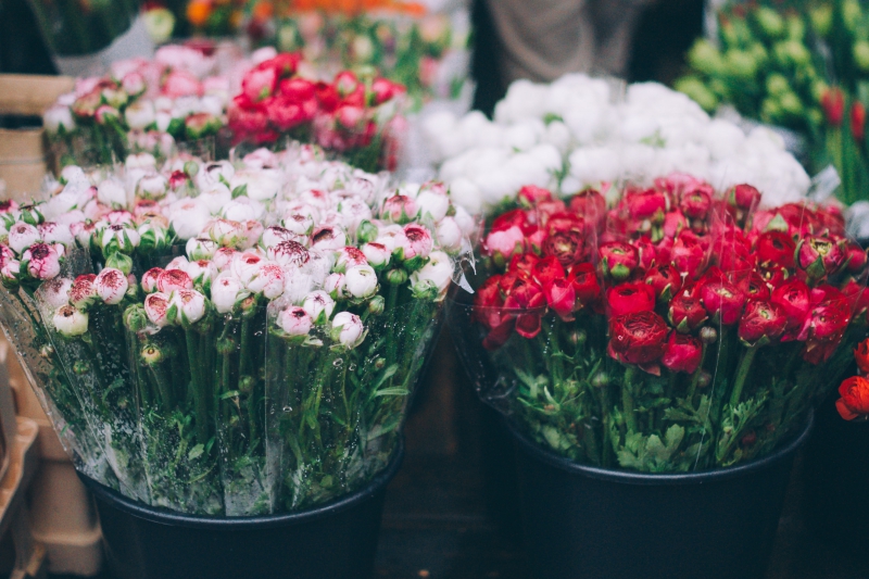 fleuriste-LA ROQUEBRUSSANNE-min_farmers-market-1209712